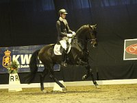 Don Tango 201113_1771